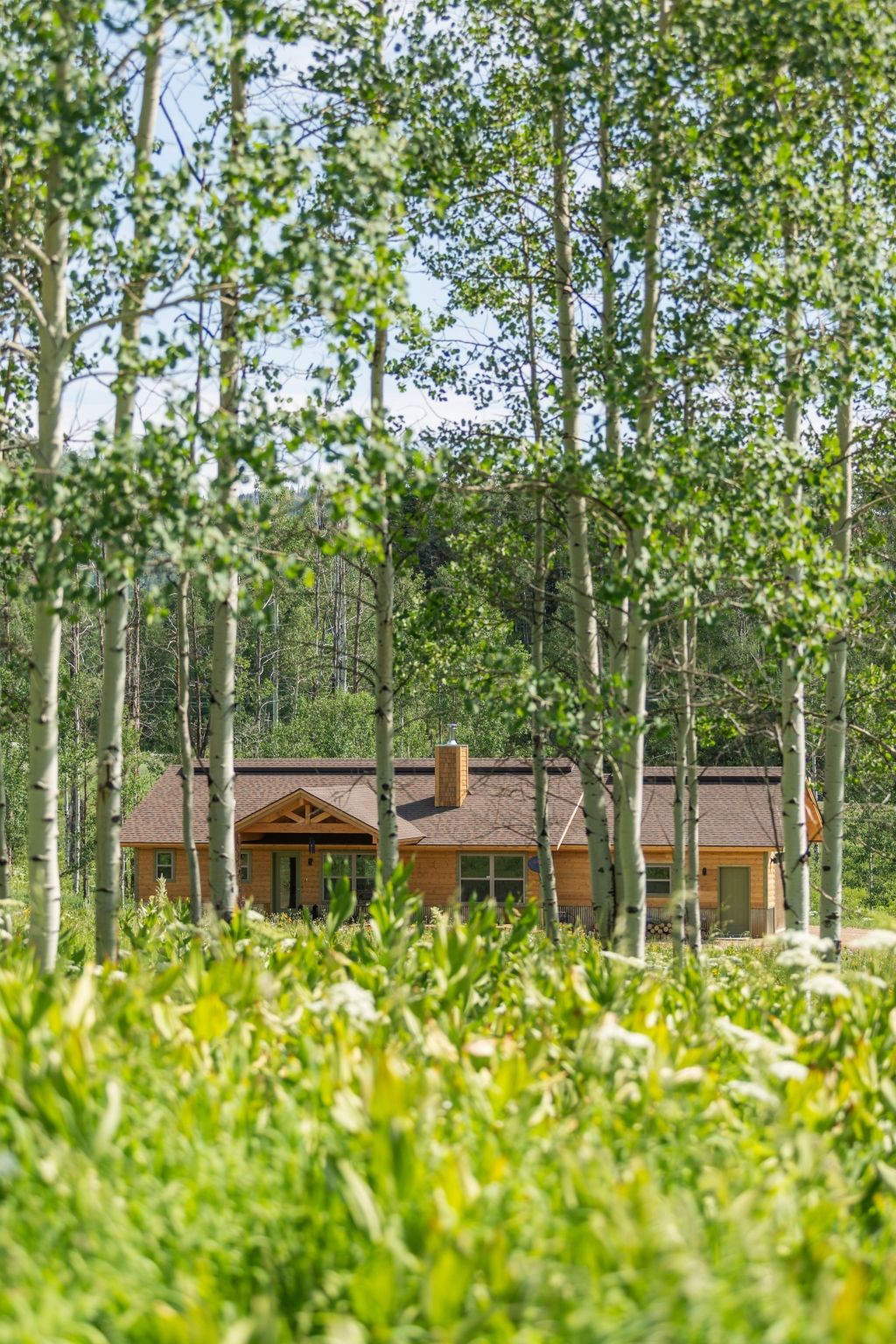Custom Home in North Routt — Modular project by Fair & Square Construction, photo 3