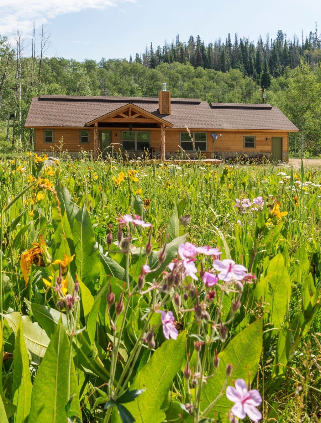 Custom Home in North Routt — Modular project by Fair & Square Construction, photo 2